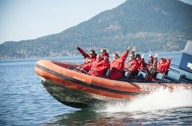 Howe Sound sea safari boat tour with shuttle transfer